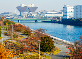 ビッグサイトの画像